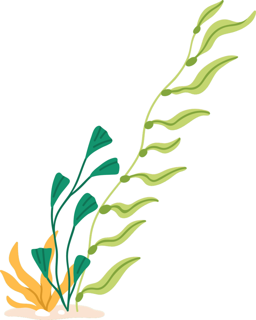 Illustration of various types of seaweed against a black background.