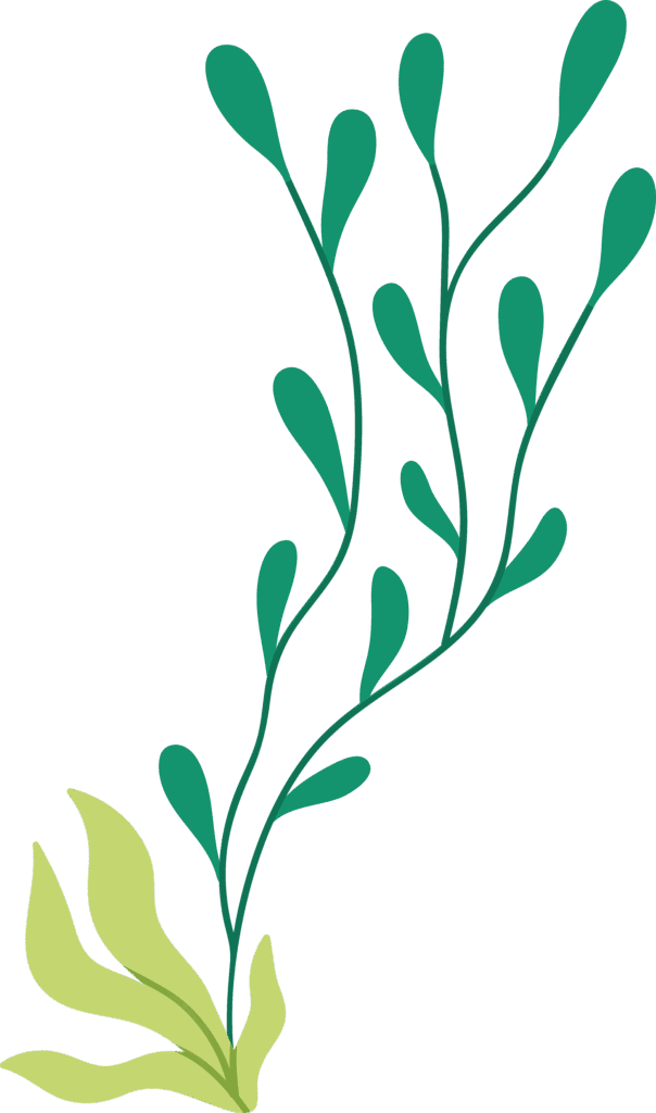 Stylized seaweed illustration with green and light green elements on a black background.