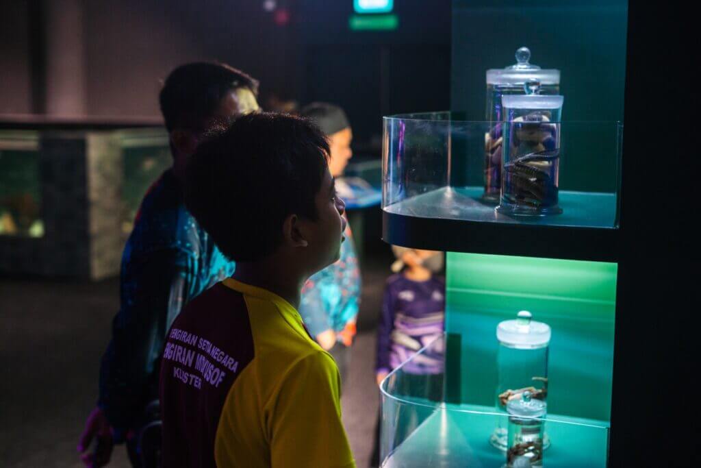 A child in a yellow and maroon shirt looks at preserved specimens in jars on display in a museum.